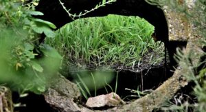 Поддържане на чисти септични ями